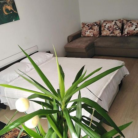 Apartmán Garsoniera Rebecca Tîrgu Ocna Exteriér fotografie