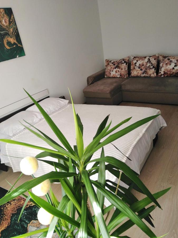 Apartmán Garsoniera Rebecca Tîrgu Ocna Exteriér fotografie